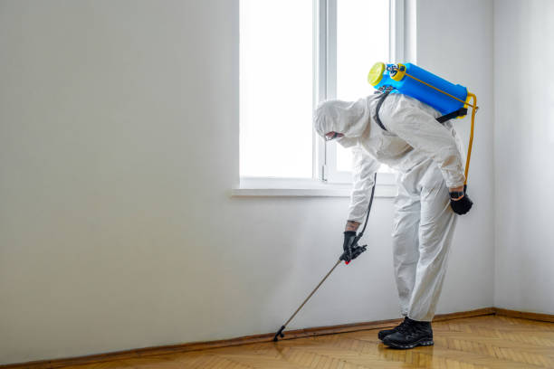 Professional Pest Control in Avondale, PA