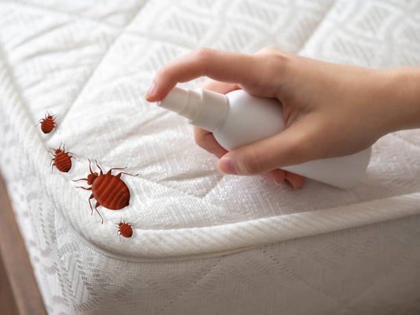 Flea Control Services in Avondale, PA